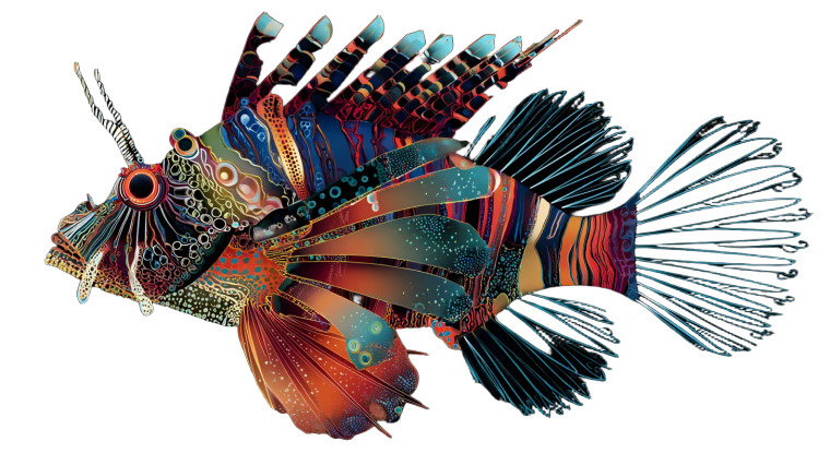 Miro Lionfish Vinyl Car Decal Sticker – Waterproof & UV-Resistant 5.4