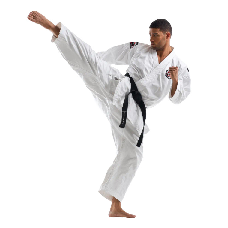 Martial Artist Kick V3 Vinyl Car Decal Sticker – Waterproof & UV-Resistant 6.826666666666667"