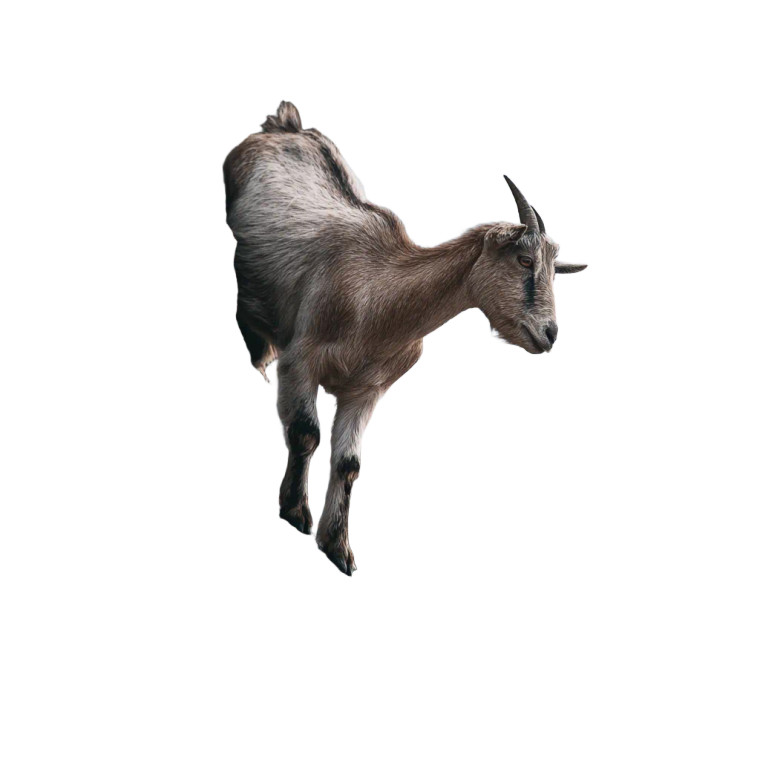 Mountain Climbing Goat Vinyl Car Decal Sticker – Waterproof & UV-Resistant 3.4133333333333336"