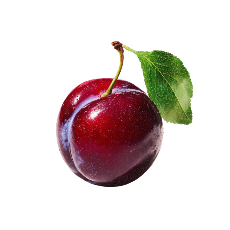 Single Plum Vinyl Car Decal Sticker – Waterproof & UV-Resistant 6.826666666666667"
