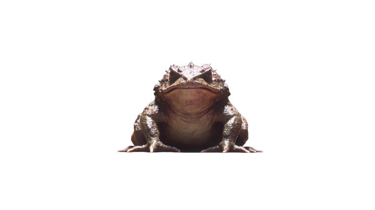 Toad-God Altar Vinyl Car Decal Sticker – Waterproof & UV-Resistant 2.72"