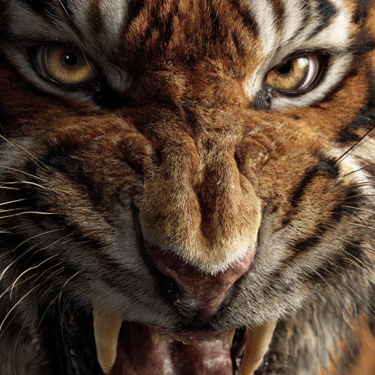 Angry Tiger Face V5 Vinyl Car Decal Sticker – Waterproof & UV-Resistant 3.4133333333333336"