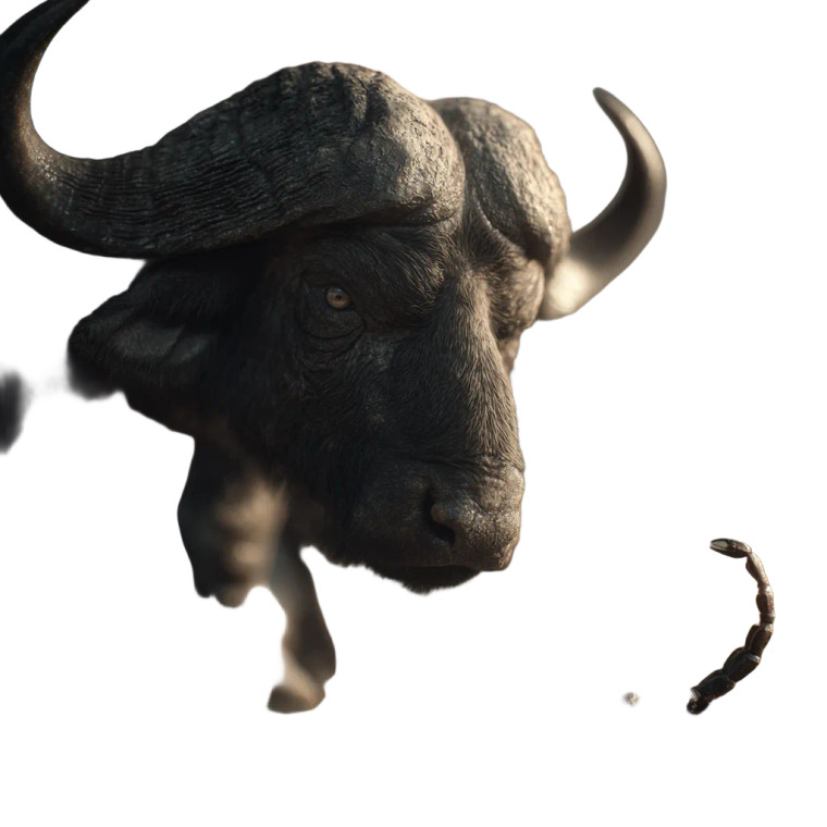 Scorpion-Tailed Buffalo Vinyl Car Decal Sticker – Waterproof & UV-Resistant 6.826666666666667"