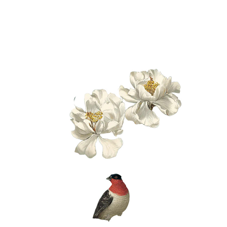 Tropical Botanical Illustration Vinyl Car Decal Sticker – Waterproof & UV-Resistant 3.4133333333333336"