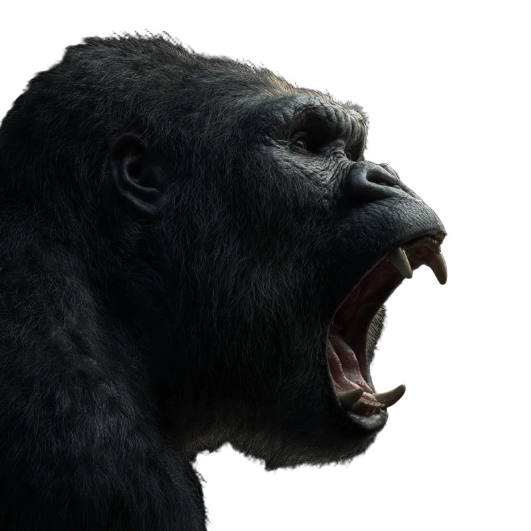 Screaming Ape Vinyl Car Decal Sticker – Waterproof & UV-Resistant 3.4133333333333336"