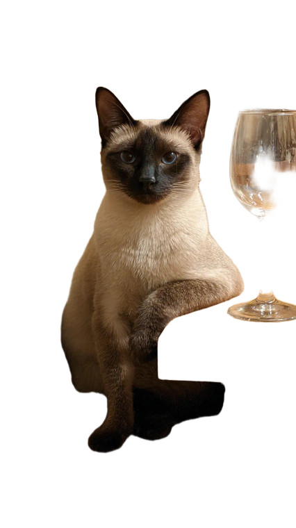 Siamese Cat Pose Vinyl Car Decal Sticker – Waterproof & UV-Resistant 4.8533333333333335"