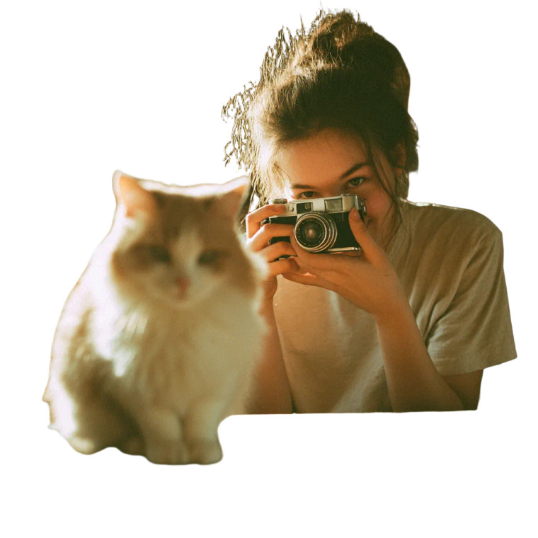 Woman Photographing Cat Vinyl Car Decal Sticker – Waterproof & UV-Resistant 3.4133333333333336"