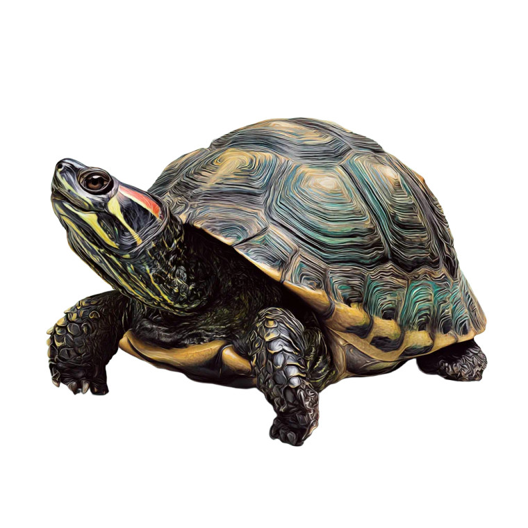 Turtle Vinyl Car Decal Sticker – Waterproof & UV-Resistant 3.4133333333333336"