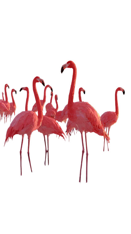 Flamingos At Sunset V3 Vinyl Car Decal Sticker – Waterproof & UV-Resistant 9.706666666666667"