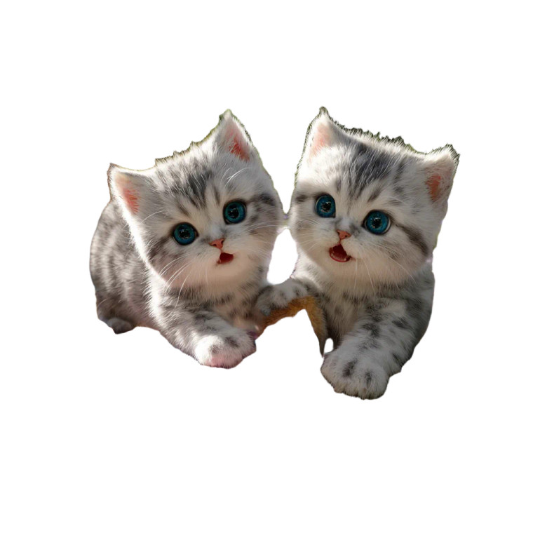 Playful Kitten Duo Vinyl Car Decal Sticker – Waterproof & UV-Resistant 3.4133333333333336"