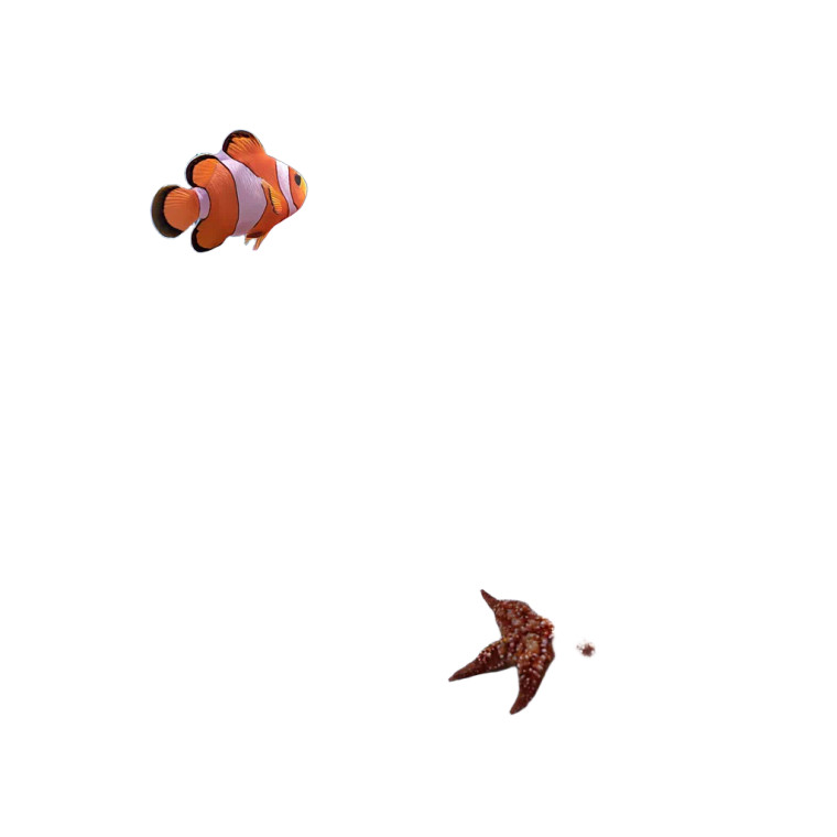 Vibrant Sea Life Vinyl Car Decal Sticker – Waterproof & UV-Resistant 6.826666666666667"