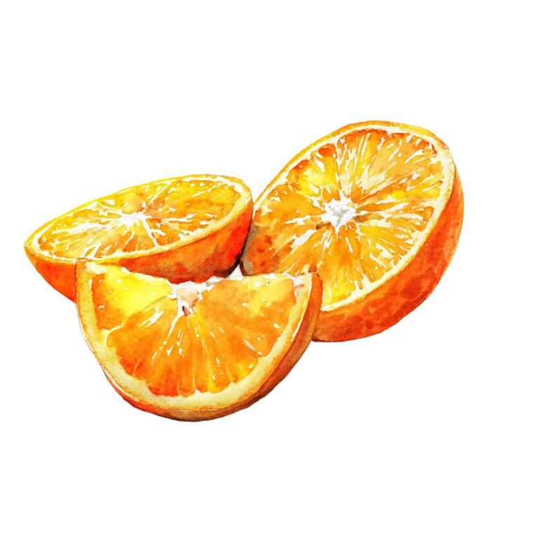 Sliced Oranges Vinyl Car Decal Sticker – Waterproof & UV-Resistant 3.4133333333333336"