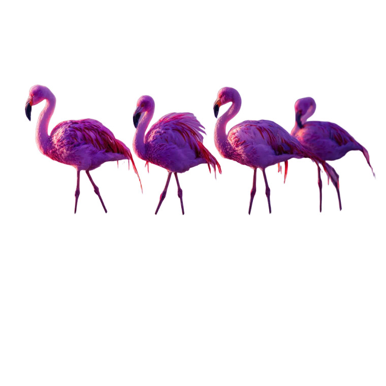 Purple Flamingos Vinyl Car Decal Sticker – Waterproof & UV-Resistant 3.4133333333333336"