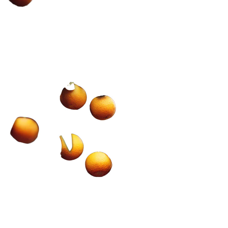 Orange Tree Branches Vinyl Car Decal Sticker – Waterproof & UV-Resistant 3.4133333333333336"