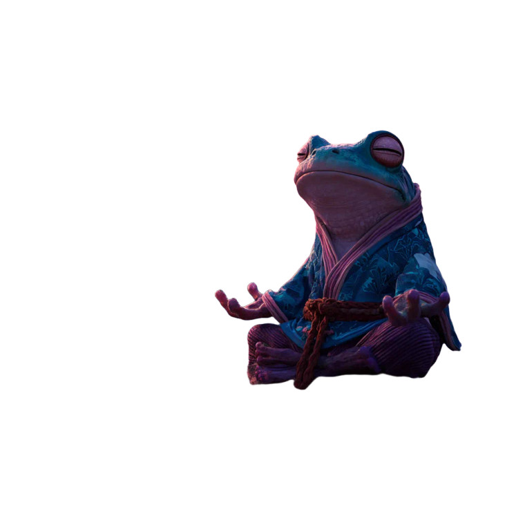 Kung Fu Frog V2 Vinyl Car Decal Sticker – Waterproof & UV-Resistant 6.826666666666667"