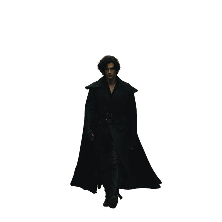 Villainous Prince Vinyl Car Decal Sticker – Waterproof & UV-Resistant 6.826666666666667"