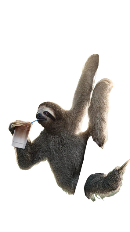 Sloth Sips Coffee Vinyl Car Decal Sticker – Waterproof & UV-Resistant 9.706666666666667"