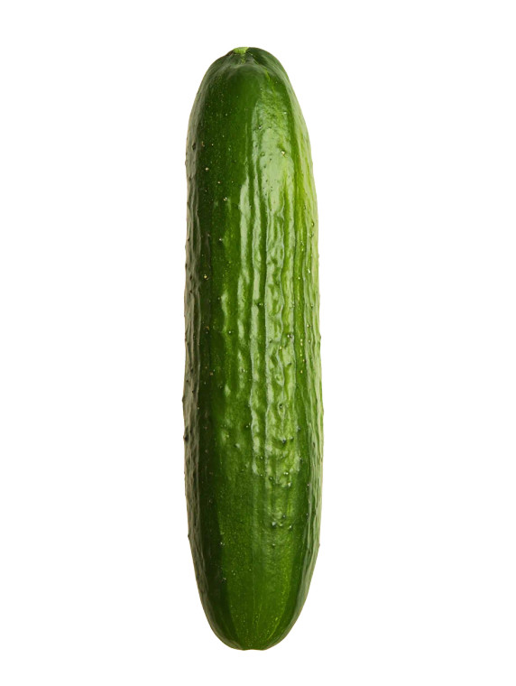 Fresh Cucumber V2 Vinyl Car Decal Sticker – Waterproof & UV-Resistant 8.213333333333333"