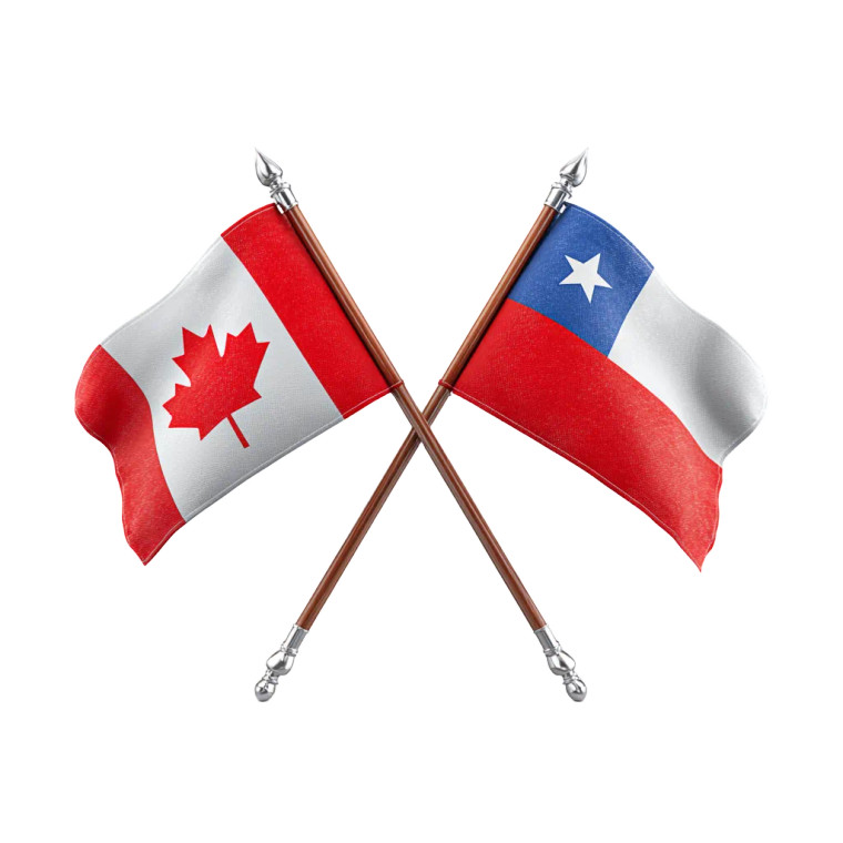 Crossed Flags V2 Vinyl Car Decal Sticker – Waterproof & UV-Resistant 6.826666666666667"