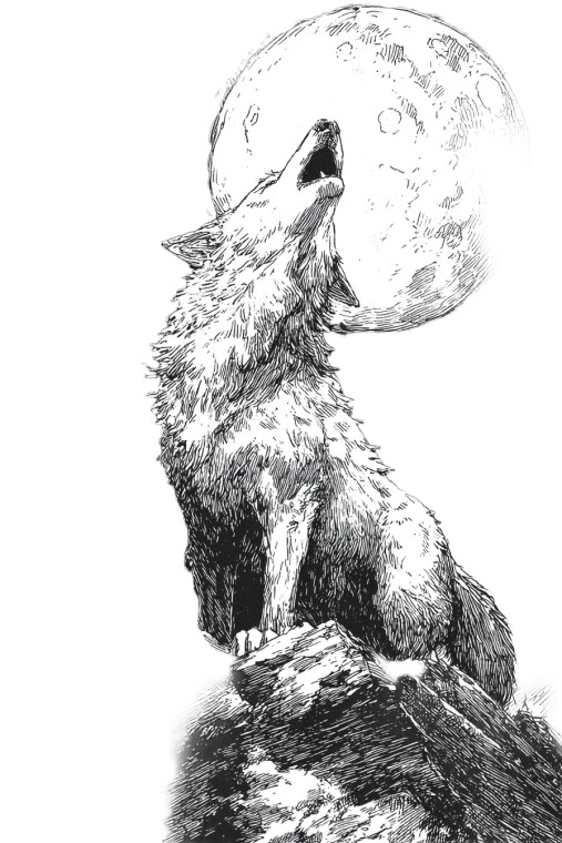 Howling Wolf Moon V4 Vinyl Car Decal Sticker – Waterproof & UV-Resistant 8.96"