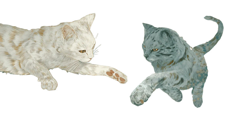 Fantasy Cat Mural Vinyl Car Decal Sticker – Waterproof & UV-Resistant 2.72"