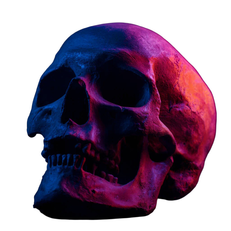 Surreal Skull Portrait Vinyl Car Decal Sticker – Waterproof & UV-Resistant 3.4133333333333336"
