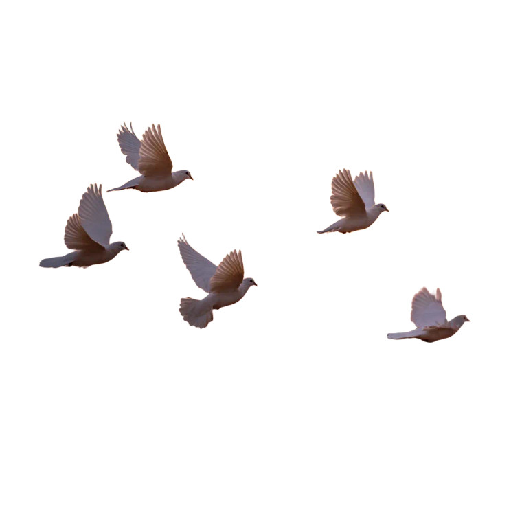 Doves At Dusk Vinyl Car Decal Sticker – Waterproof & UV-Resistant 3.4133333333333336"