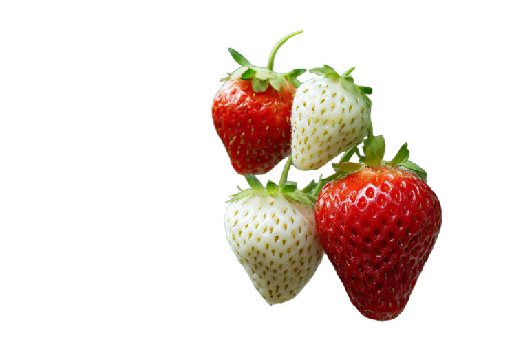 Strawberries On Vine Vinyl Car Decal Sticker – Waterproof & UV-Resistant 5.97333333333333