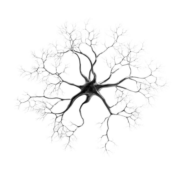 Glass Neuron Sculpture Vinyl Car Decal Sticker – Waterproof & UV-Resistant 6.826666666666667"