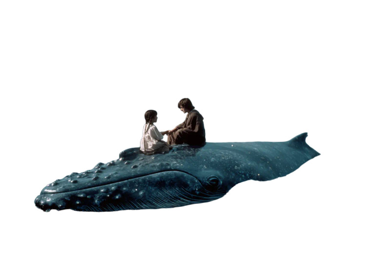 Girl, Elf, Whale Vinyl Car Decal Sticker – Waterproof & UV-Resistant 3.0933333333333333"
