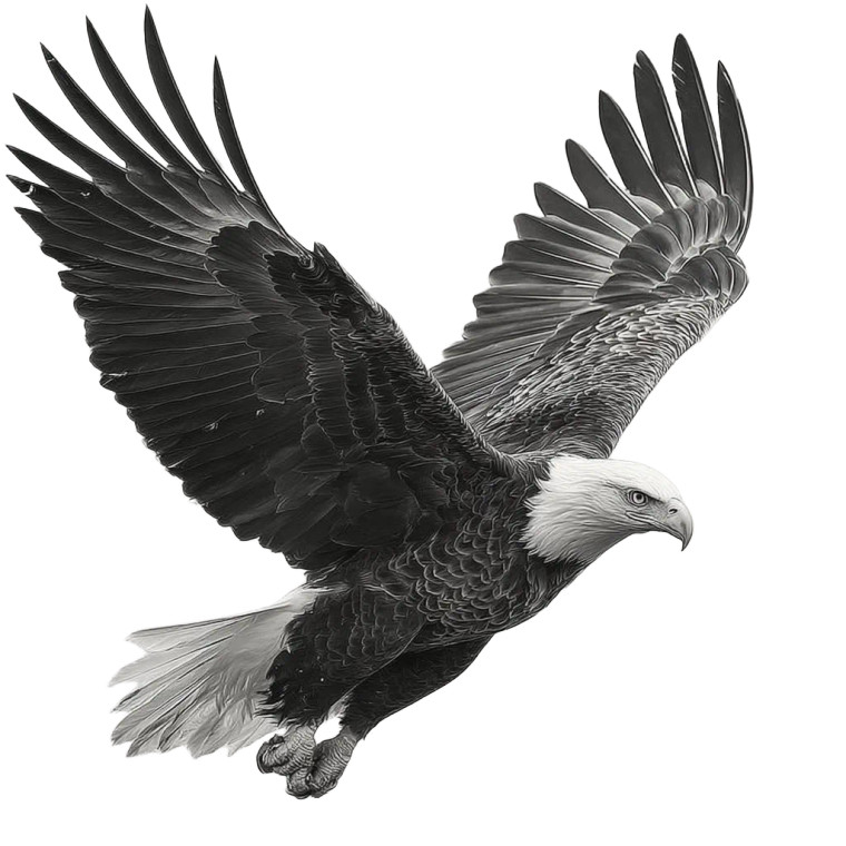 Flying Eagle Tattoo Vinyl Car Decal Sticker – Waterproof & UV-Resistant 3.4133333333333336"