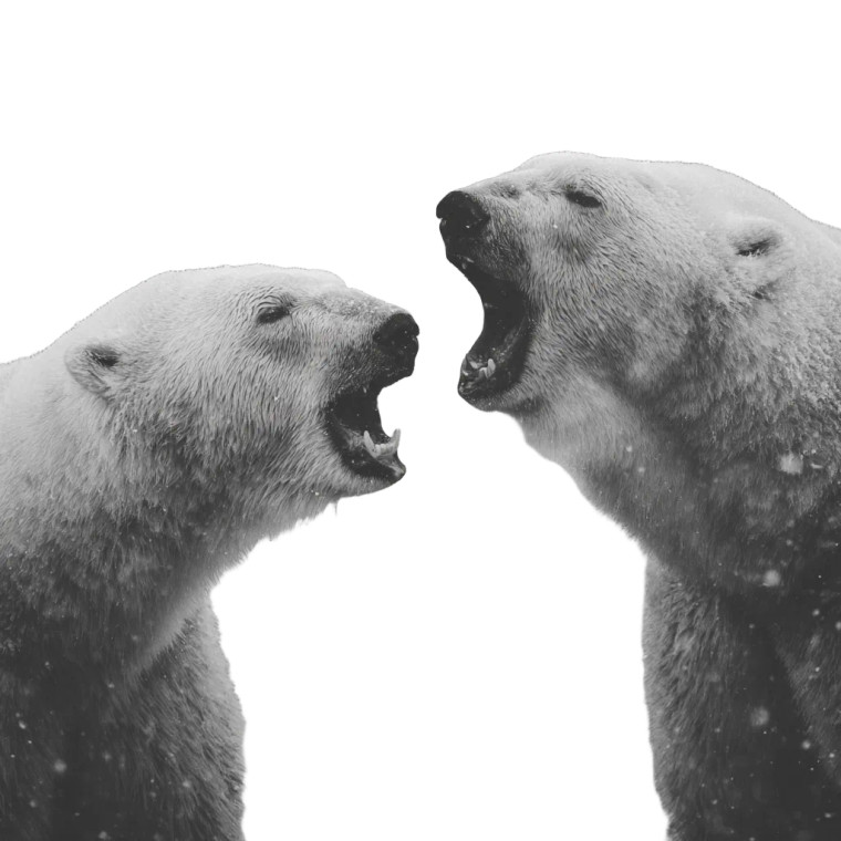 Polar Bears Snow V2 Vinyl Car Decal Sticker – Waterproof & UV-Resistant 3.4133333333333336"