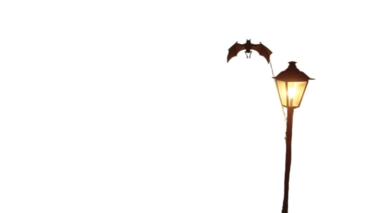 Spooky Bat Night Vinyl Car Decal Sticker – Waterproof & UV-Resistant 2.72"