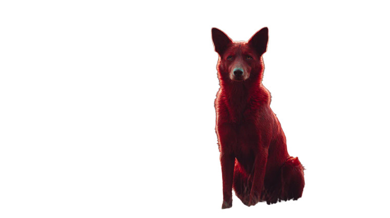 Red Dog Vinyl Car Decal Sticker – Waterproof & UV-Resistant 2.72"