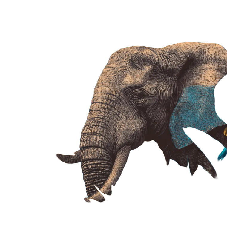 Elephant Tropical Pattern Vinyl Car Decal Sticker – Waterproof & UV-Resistant 3.4133333333333336"