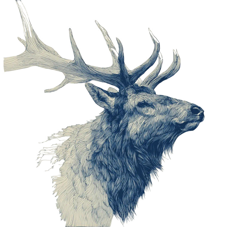 Majestic Elk Head Vinyl Car Decal Sticker – Waterproof & UV-Resistant 3.4133333333333336"