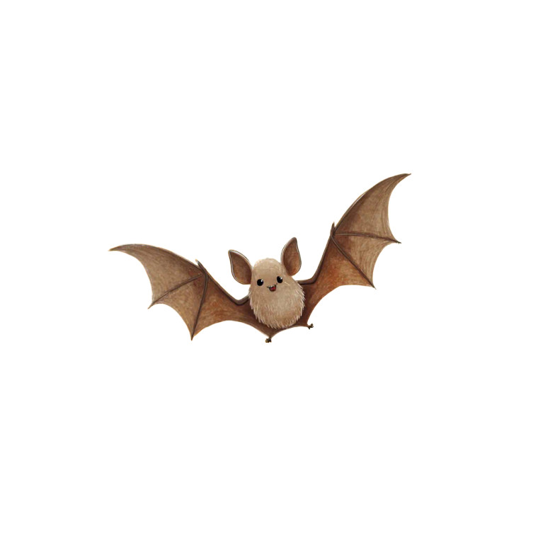 Cute Bat Moon Vinyl Car Decal Sticker – Waterproof & UV-Resistant 3.4133333333333336"