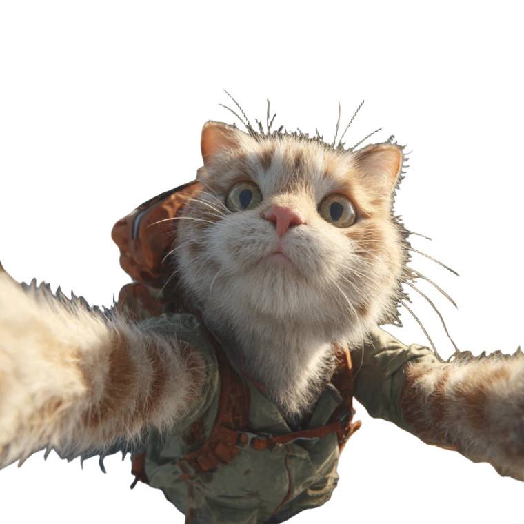 Hiking Kitten Selfie Vinyl Car Decal Sticker – Waterproof & UV-Resistant 3.4133333333333336"