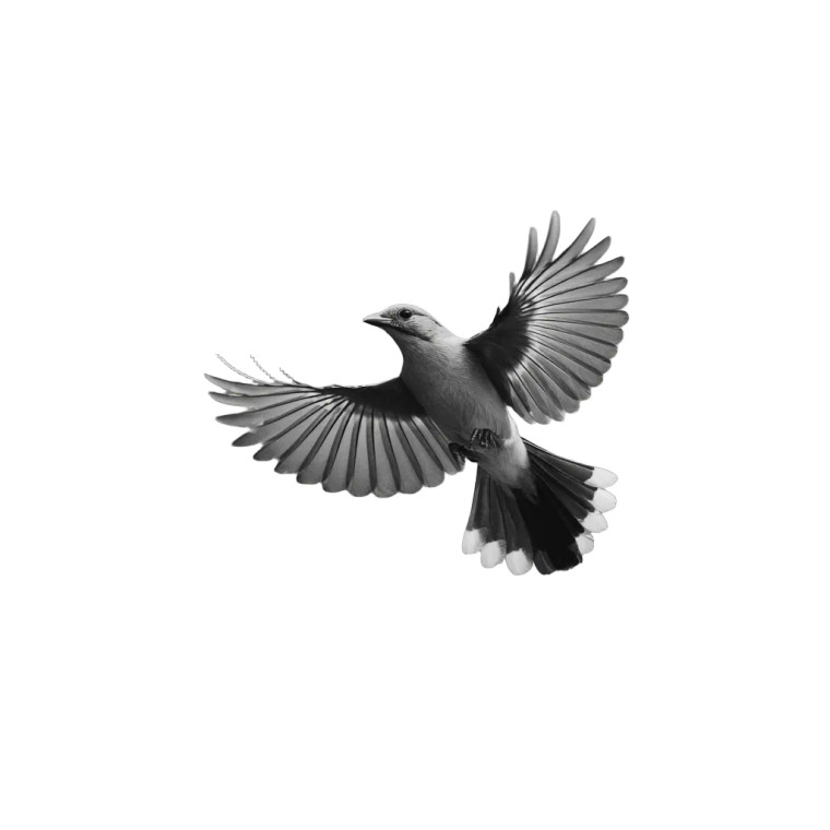 Flying Bird V3 Vinyl Car Decal Sticker – Waterproof & UV-Resistant 3.4133333333333336"