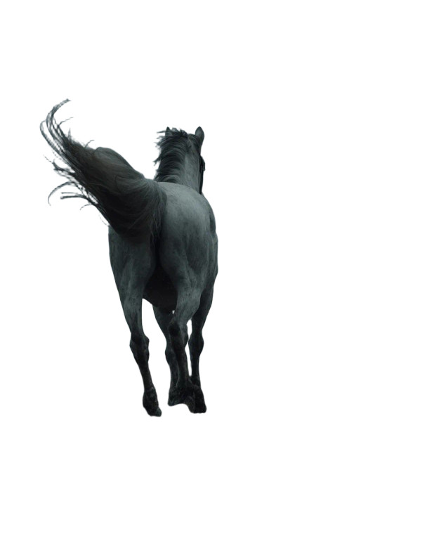 White Horse Running V6 Vinyl Car Decal Sticker – Waterproof & UV-Resistant 8.0"
