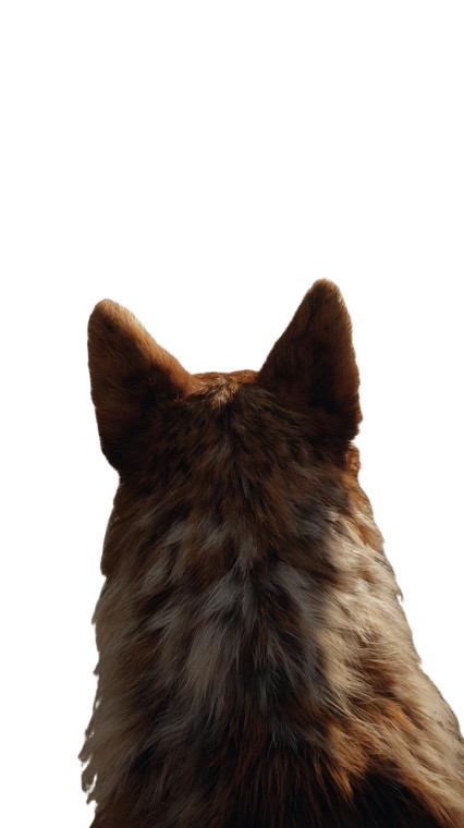 Prehistoric Dog Encounter Vinyl Car Decal Sticker – Waterproof & UV-Resistant 9.706666666666667"