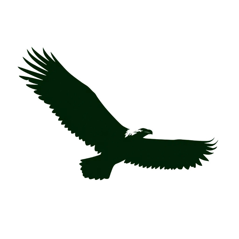 Flying Eagle V7 Vinyl Car Decal Sticker – Waterproof & UV-Resistant 6.826666666666667"