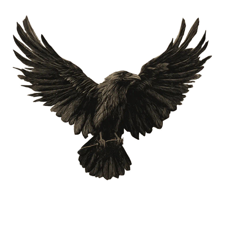 Soar Album Cover Vinyl Car Decal Sticker – Waterproof & UV-Resistant 6.826666666666667"