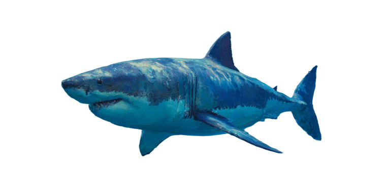 Shark Painting Vinyl Car Decal Sticker – Waterproof & UV-Resistant 2.56"