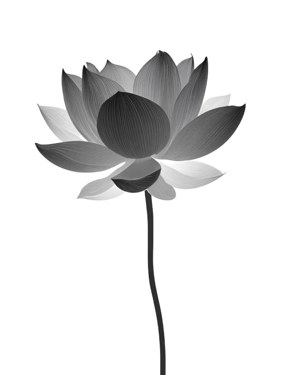 Gray Lotus Silhouette Vinyl Car Decal Sticker – Waterproof & UV-Resistant 4.1066666666666665"