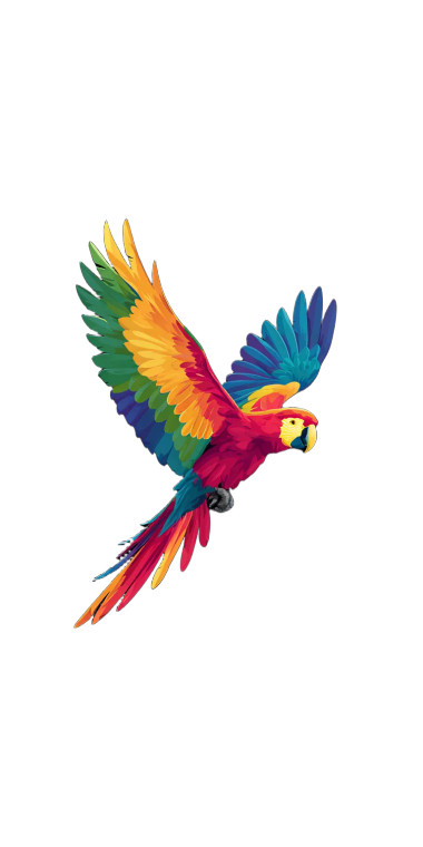 Rainbow Macaw Flying Vinyl Car Decal Sticker – Waterproof & UV-Resistant 10.2