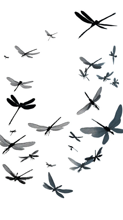 Dragonflies Silhouette Vinyl Car Decal Sticker – Waterproof & UV-Resistant 9.706666666666667"