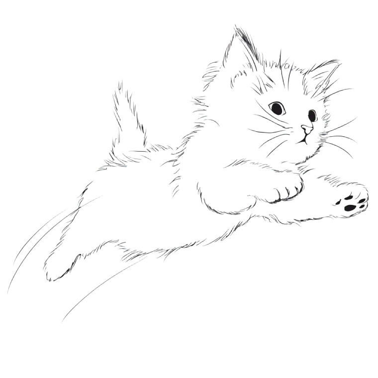 Jumping Kitten Vinyl Car Decal Sticker – Waterproof & UV-Resistant 3.4133333333333336"