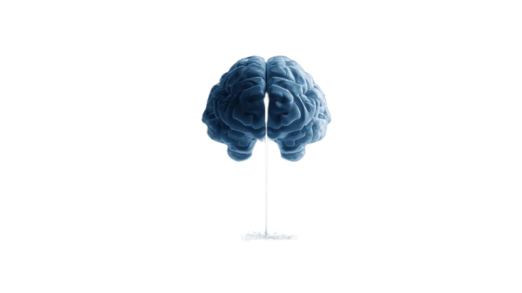 Creative Brain Vinyl Car Decal Sticker – Waterproof & UV-Resistant 5.4