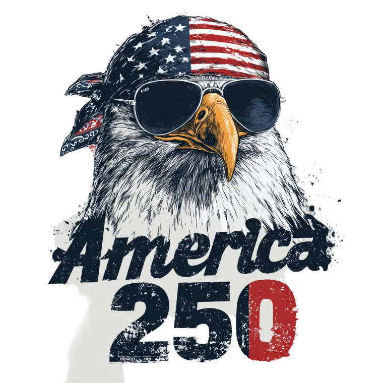 Stylized Bald Eagle Vinyl Car Decal Sticker – Waterproof & UV-Resistant 3.4133333333333336"